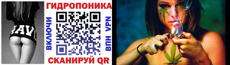 Купить наркотики Заозёрск МДМА  KRAKEN маркетплейс  МЕФ  Каннабис  Гашиш  A-PVP  LSD-25 
