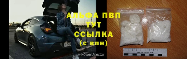 спиды Богданович