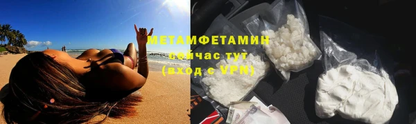 спиды Богданович