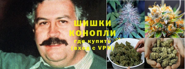 ECSTASY Богородицк
