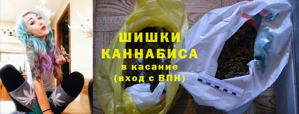 ECSTASY Богородицк